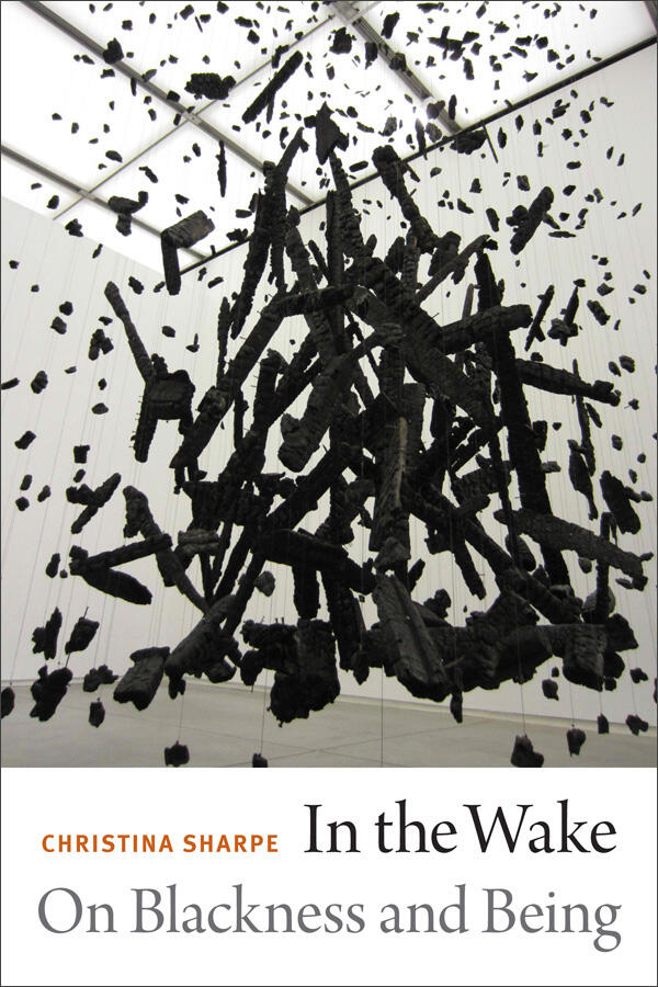 In the Wake, Book Cover